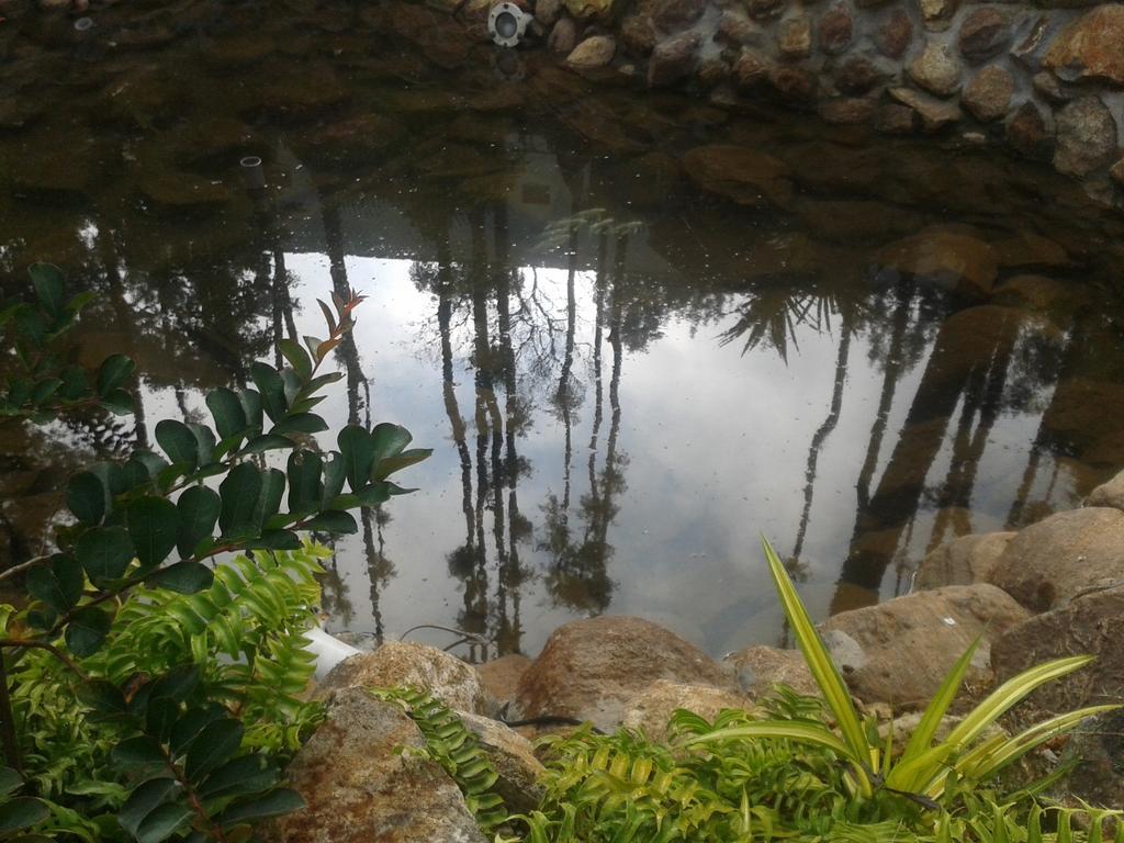Happy Nest Yercaud Hotel Exterior foto